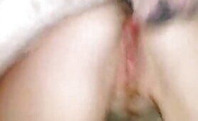 60544 dog fucking wife