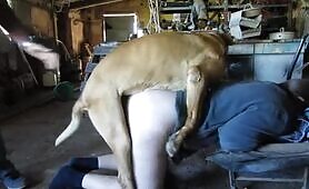 61754 fuck and filling