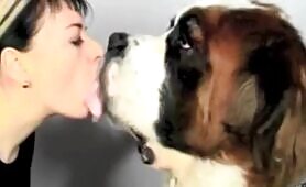 61943 punk woman kissing st bernard