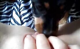 62093 puppy makes me cum