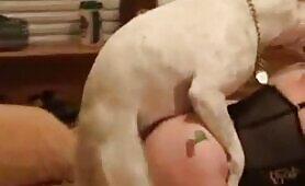 64922 cherry doggy
