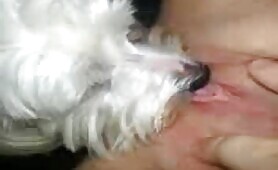 66965 getting licked part 2