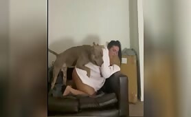 Dog whore's