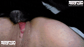 DevoteHuendin - Triple Duty HD