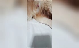 Tocando uma 5