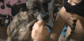 GTA with puppy