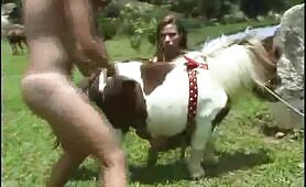 3 Girls Torment A Small Horsy