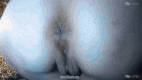 Ariel - Anal Revision - K9Lady - EXCLUSIVE