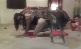 Making Puppies - MIX