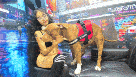 Martina with 2 dogs (Martina y Perros) - Benji Production