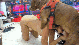 Barbara with 2 dogs (Barbara  y Perros) - Benji Productions