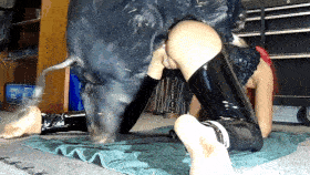 Josie - Anal Boar - Seamless