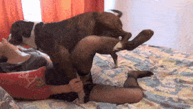 Team Russia - Next level Dog Knot Anal, part 2