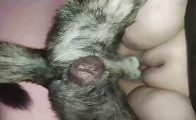 Amateur - My Secret pet