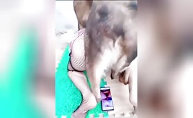 Asian delight - Amateur - 8