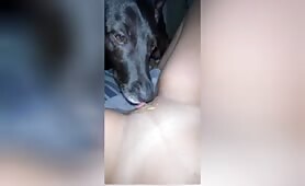 Reactions - peanut butter 2