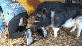 NEW - Selena - Cloaked lust - EXCLUSIVE