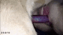 Zaro - Amateur