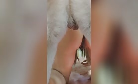 A good boy  Productions - Amateur - 17