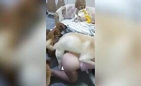 A good boy  Productions - Amateur - 6