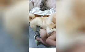 A good boy  Productions - Amateur - 61