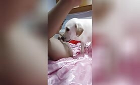 Chrysanthemum morifolium - 秋菊 - Amateur - Chapter 34