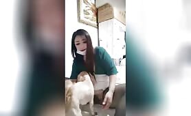 Chrysanthemum morifolium - 秋菊 - Amateur - Chapter 39