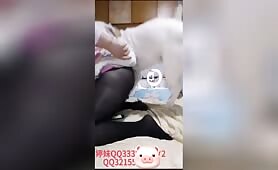 Chrysanthemum morifolium - 秋菊 - Amateur - Chapter 6