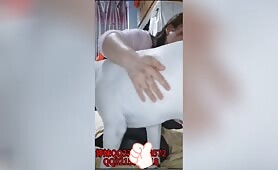 Chrysanthemum morifolium - 秋菊 - Amateur - Chapter 8