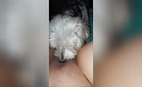 Tini Amateur - Exclusive