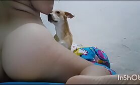 Dog story - Not Santa-Maria