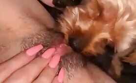 Lex - Heating engine - EXCLUSIVE