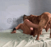 BeastLuna - Foot Job - EXCLUSIVE