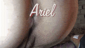 Ariel - Training Room - K9Lady (Boar and Dog) - EXCLUSIVE