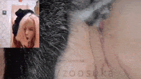 New chapter ZooSuka - Amateur