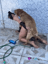 BeastLuna - Refreshment