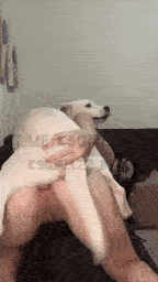 Anal duty - Moonlie (k9girlllzz)