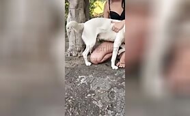 Park flair- Moonlie (k9girlllzz)
