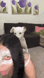 White Silver- Moonlie (k9girlllzz)
