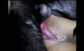 Amateur - Bint Condition