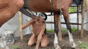 Mia and Coral - Tree days - Horse dog combo - Isabella Productions - EXCLUSIVE