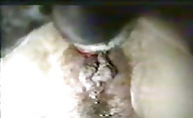 Hot girl has the huge dog cock in pussy