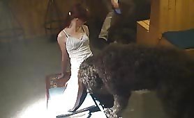 Giant dog mounts young girl