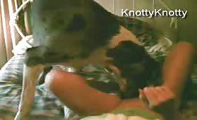 Knottystie dog sex