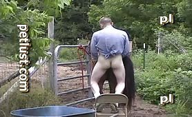 Man fuck horse 