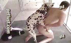 Spotty Hump, gay beastiality