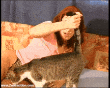 Kitty - EXCLUSIVE LEGASY