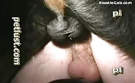 Fuck this ass and balls