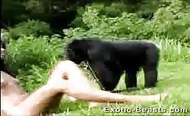 Girl sex seduces chimpanzee
