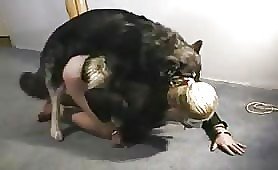 Couple has dog sex